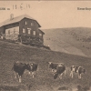 Krkonoše - Dvoračky 1914